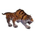 peiwutiger