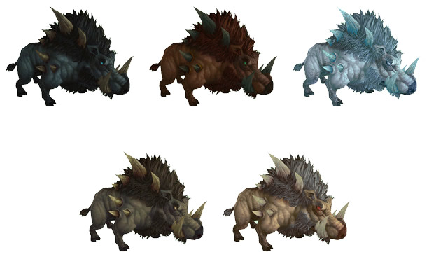 boars